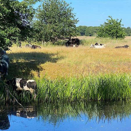 Hotel De Ruwenberg Den Bosch - Sint Michielsgestel Eksteriør bilde