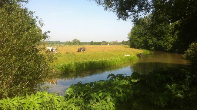 Hotel De Ruwenberg Den Bosch - Sint Michielsgestel Fasiliteter bilde
