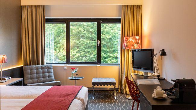 Hotel De Ruwenberg Den Bosch - Sint Michielsgestel Rom bilde
